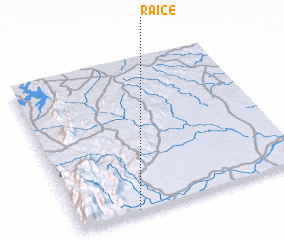 3d view of Raice