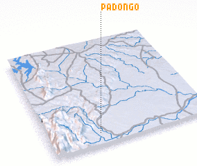 3d view of Padongo