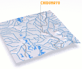 3d view of Chidumayo