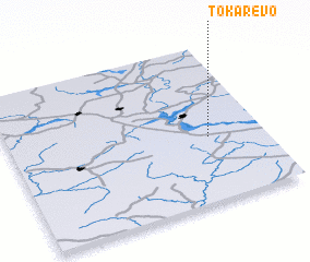 3d view of Tokarëvo