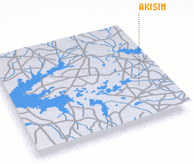 3d view of Akisim