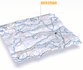 3d view of Akkonak