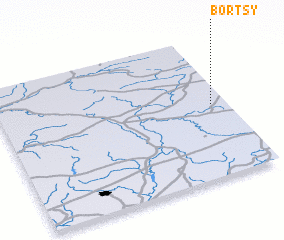 3d view of Bortsy
