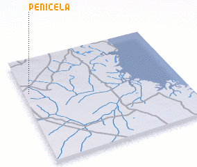 3d view of Penicela