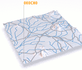 3d view of Okocho