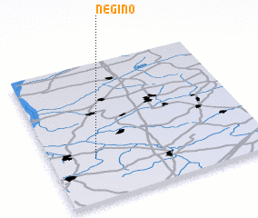 3d view of Negino