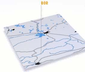 3d view of Bor