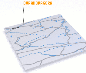 3d view of Burakova Gora