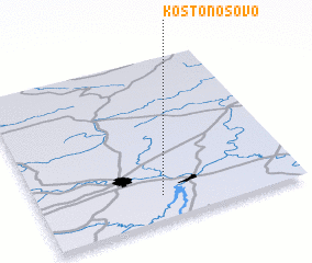 3d view of Kostonosovo