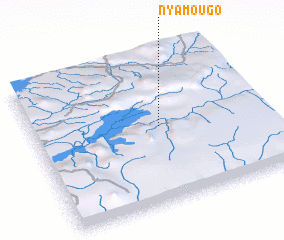 3d view of Nyamougo