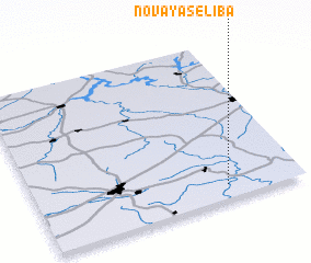 3d view of Novaya Seliba