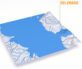 3d view of Selemane