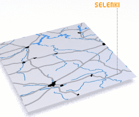 3d view of Selënki