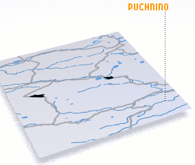 3d view of Puchnino