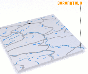 3d view of Boronatovo