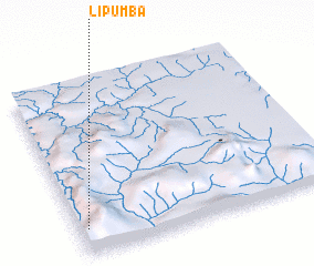 3d view of Lipumba