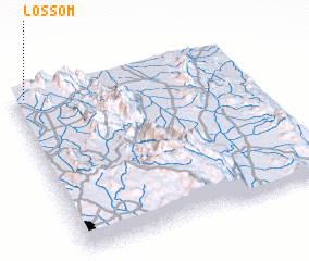 3d view of Lossom