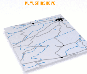 3d view of Plyusninskoye