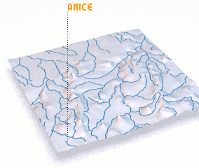 3d view of Amice