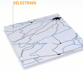 3d view of Selestrovo