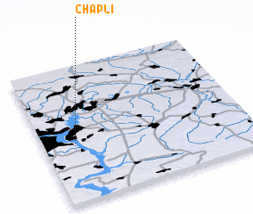 3d view of Chapli