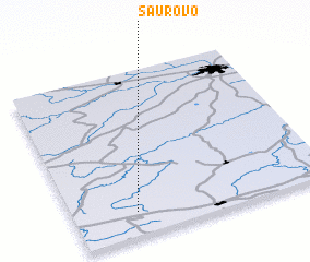 3d view of Saurovo