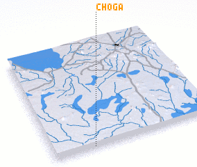 3d view of Choga