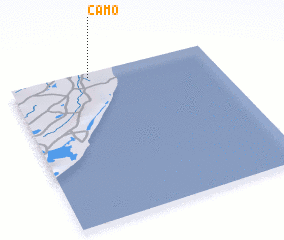 3d view of Camo