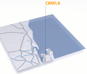 3d view of Camela