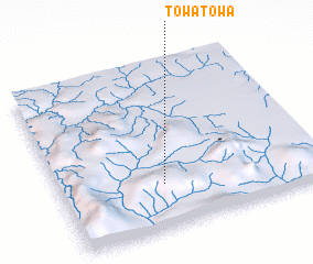 3d view of Towatowa