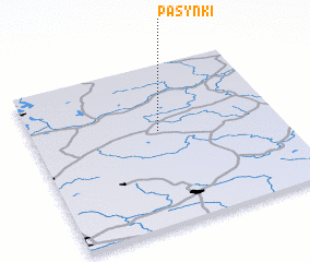 3d view of Pasynki