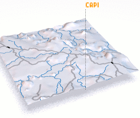 3d view of Capi