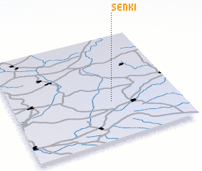 3d view of Senki