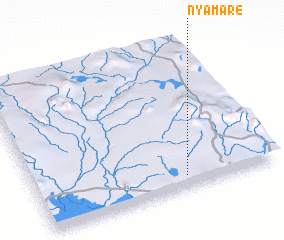 3d view of Nyamare