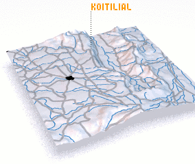 3d view of Koitilial