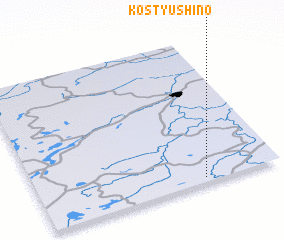 3d view of Kostyushino