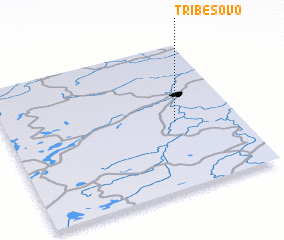 3d view of Tribesovo