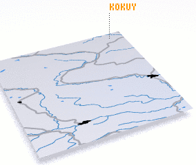 3d view of Kokuy