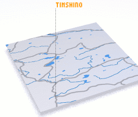 3d view of Timshino