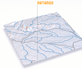 3d view of Natango