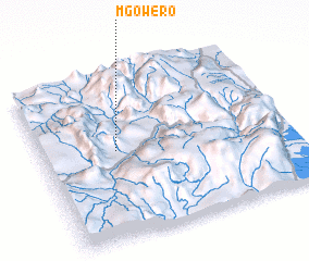 3d view of Mgowero