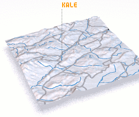 3d view of Kale