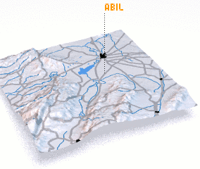 3d view of Abil