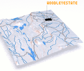 3d view of Woodley Estate