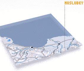 3d view of Muslubey