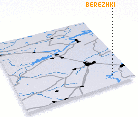 3d view of Berezhki