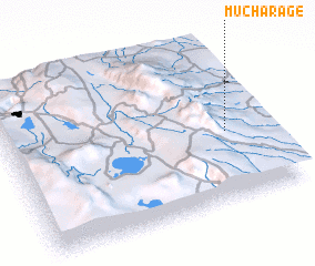 3d view of Mucharage