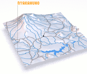 3d view of Nyakahuho