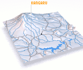 3d view of Kangaru