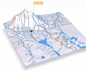 3d view of Kidia